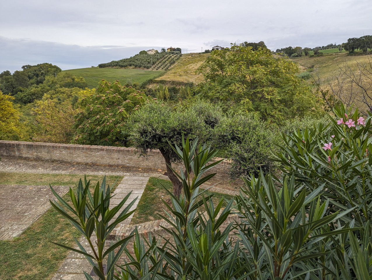 View from Serra de Conti