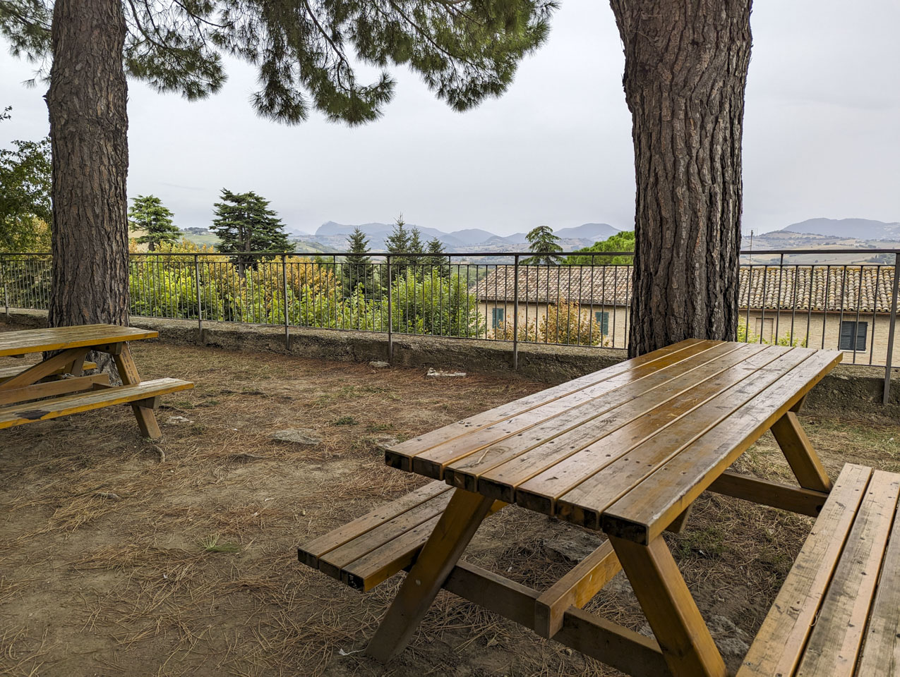 picnic tables beneath some trees