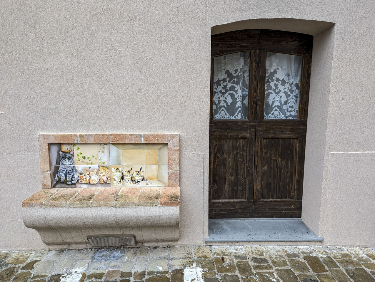 closer view of the bench with cats