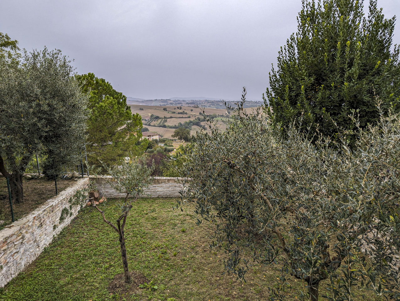 On the left is a short wall with a fence that divides two yards, and both have olive trees in them. In the background are farms.