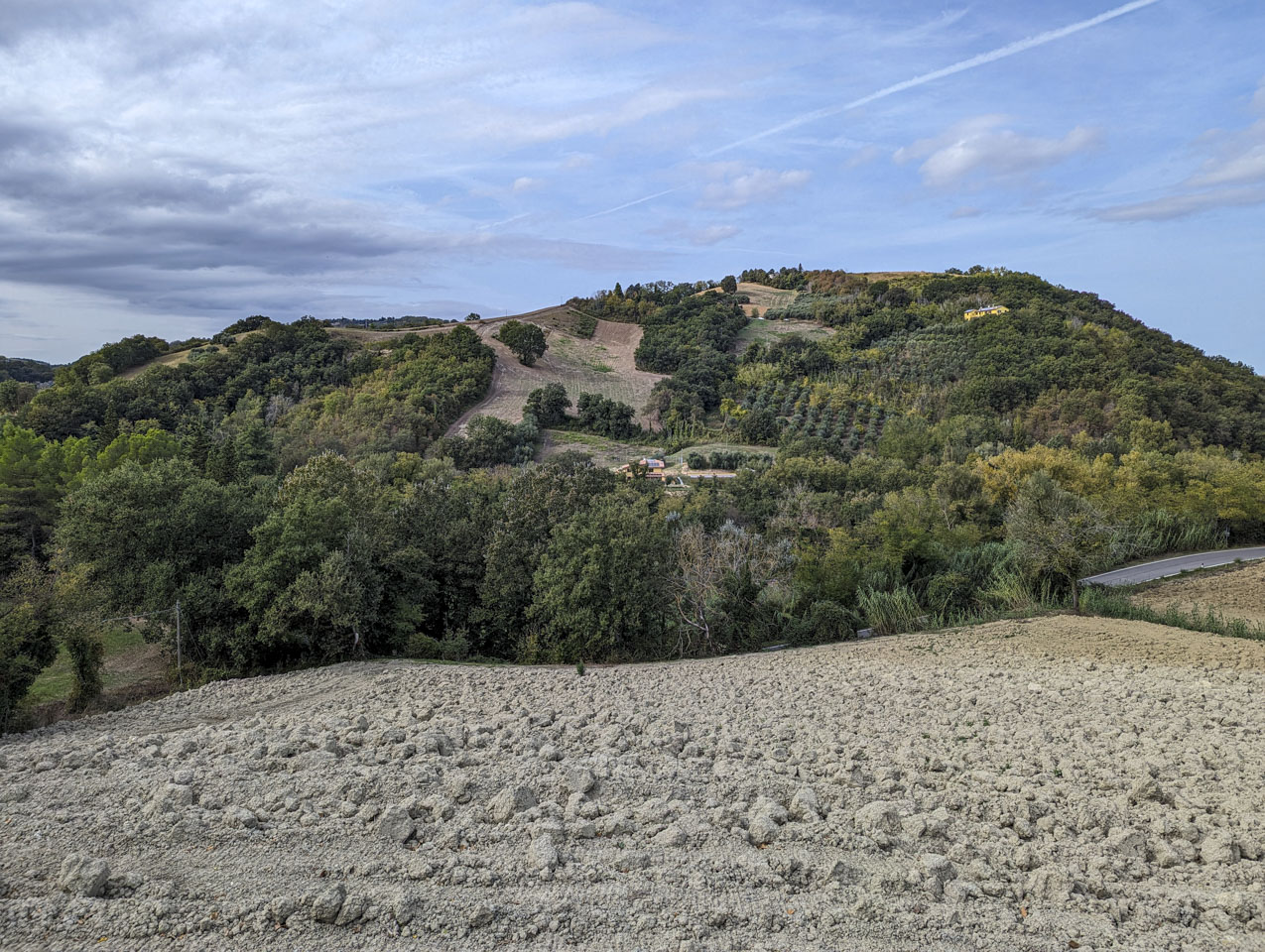 A tilled field in the foreground, with olive trees, other trees, and a couple of houses on a hill rising up.