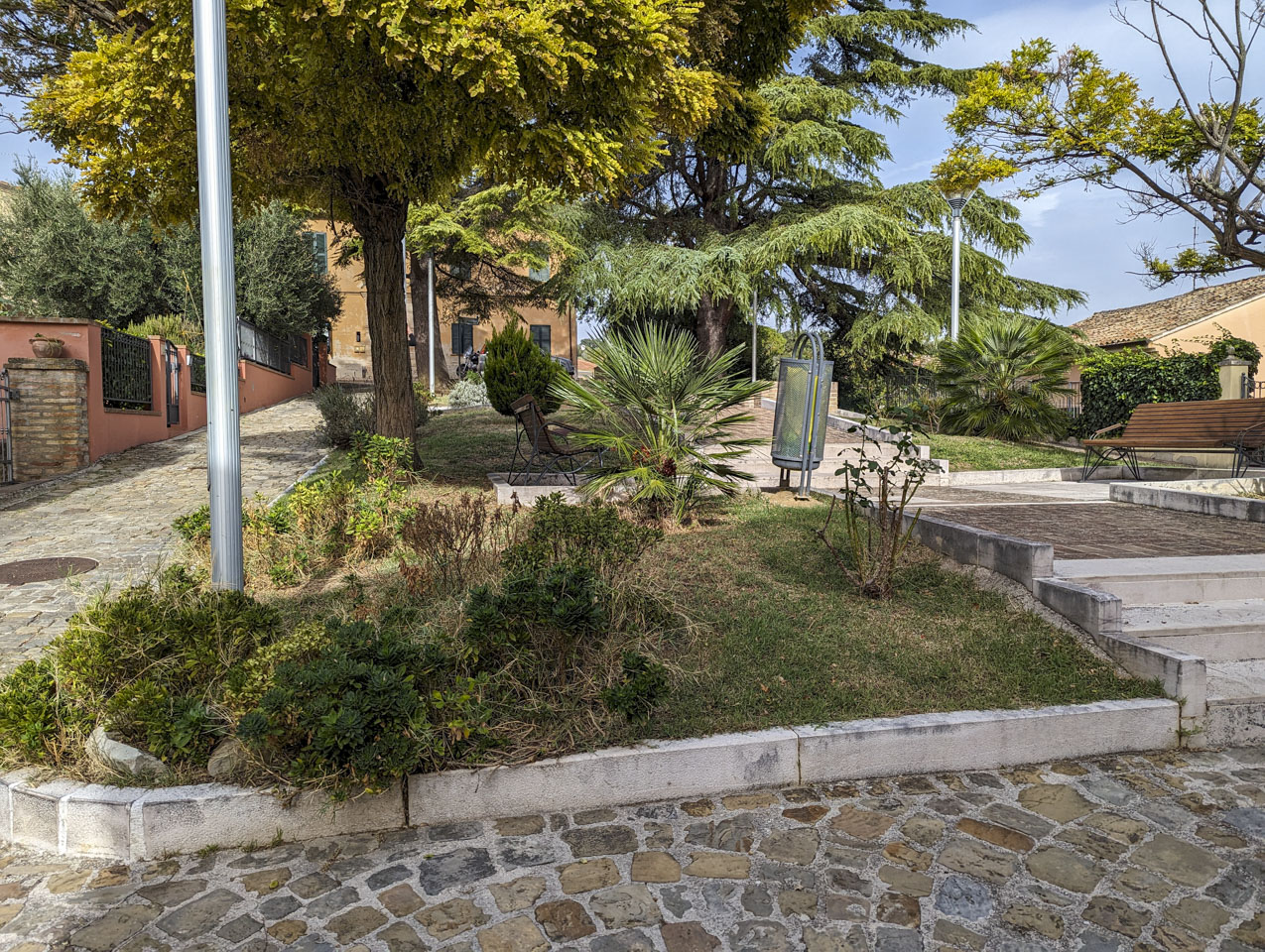 A green area with trees, grass, and plants with a walkway on each side and a park bench.