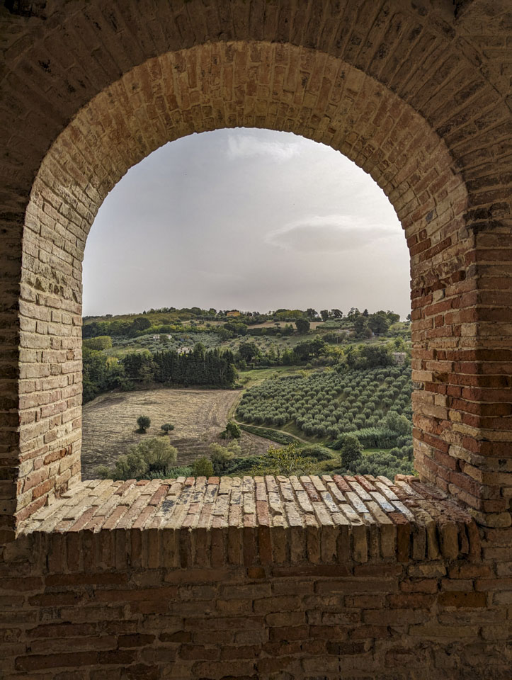 View of olive orchards and farmland through an arched opening in a stone wall