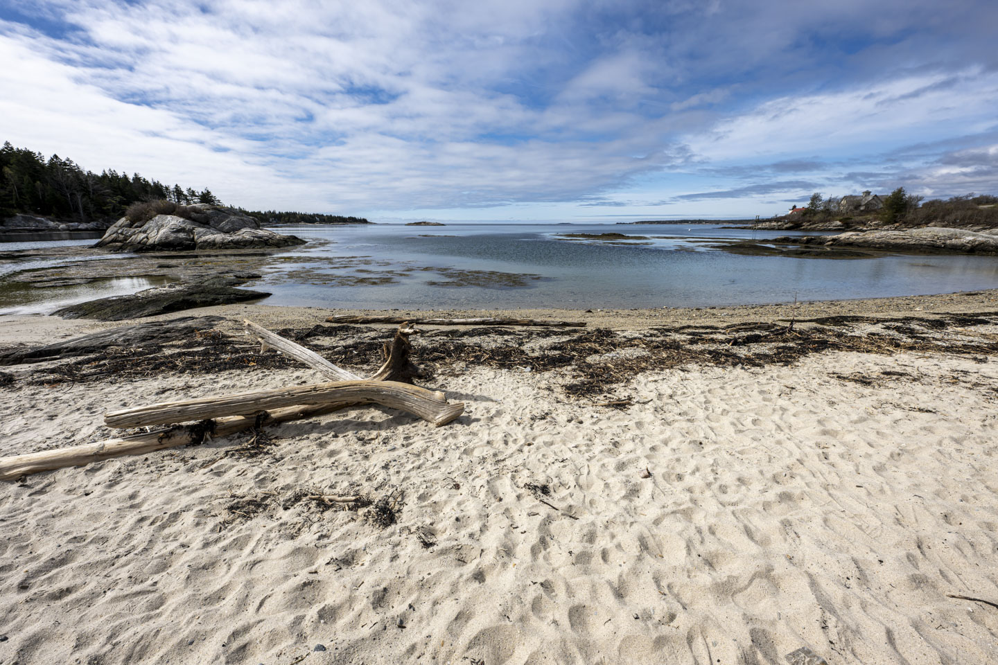 A sand beach has a couple of pieces of driftwood on it, and the harbor water has little ripples and is not reflecting the clouds that are in the sky.