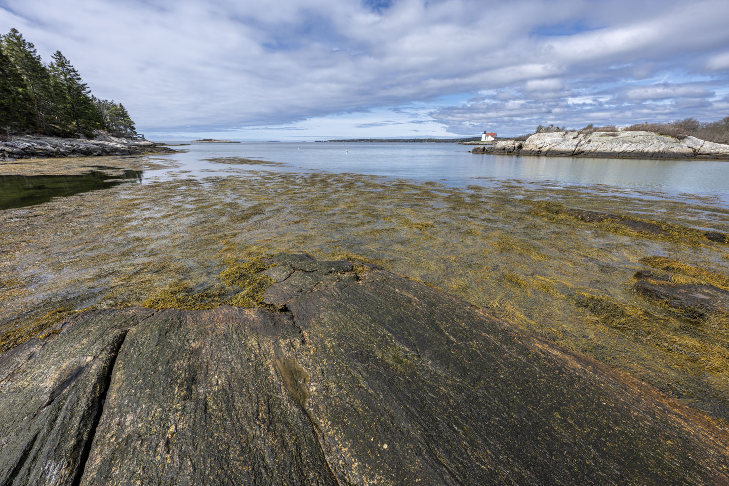 Rocks extend out to seaweed which extends out to water. In the distance on the right is a lighthouse. 