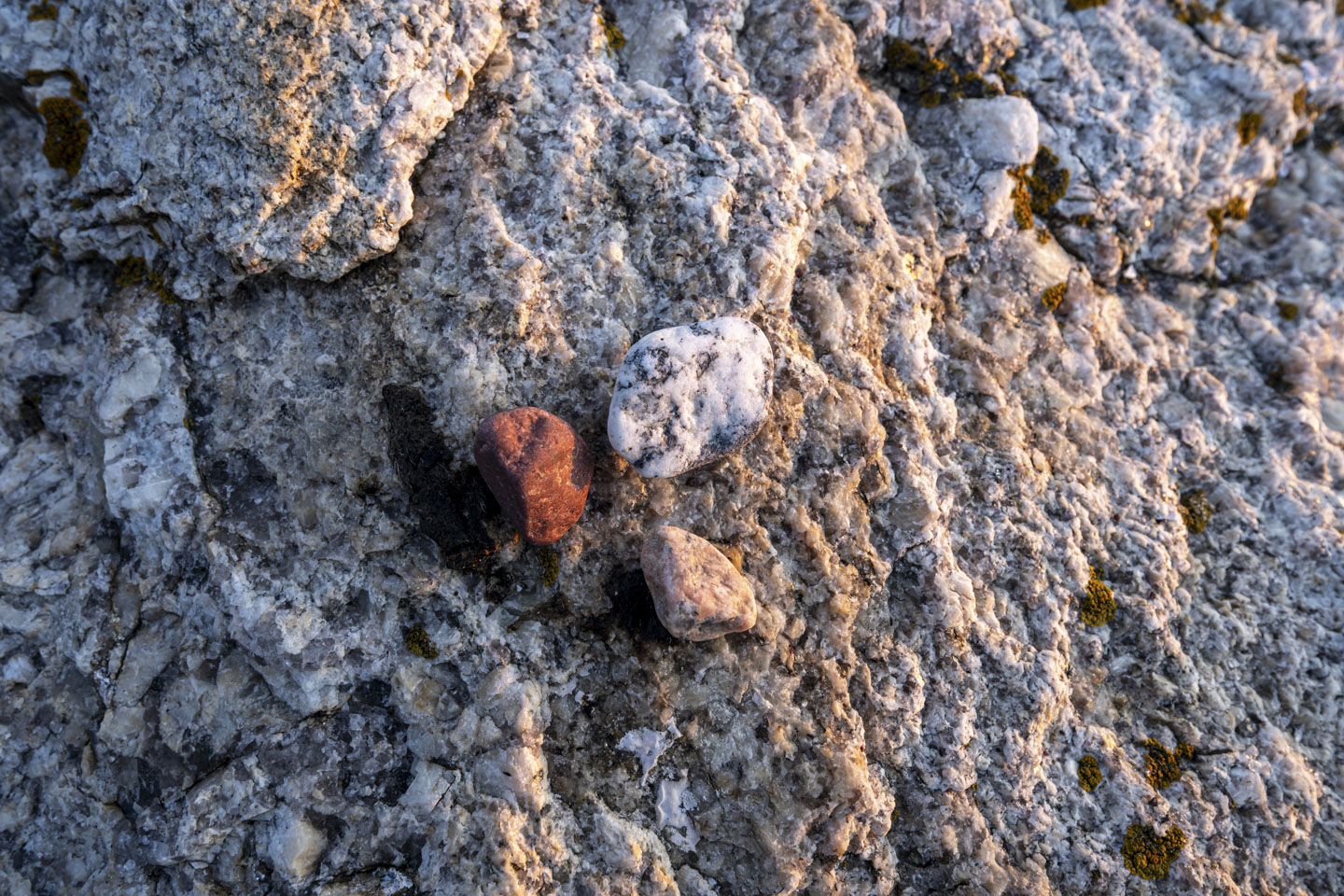 Some granite rock has 3 small pebbles on it, one white, one red, and one pink. 