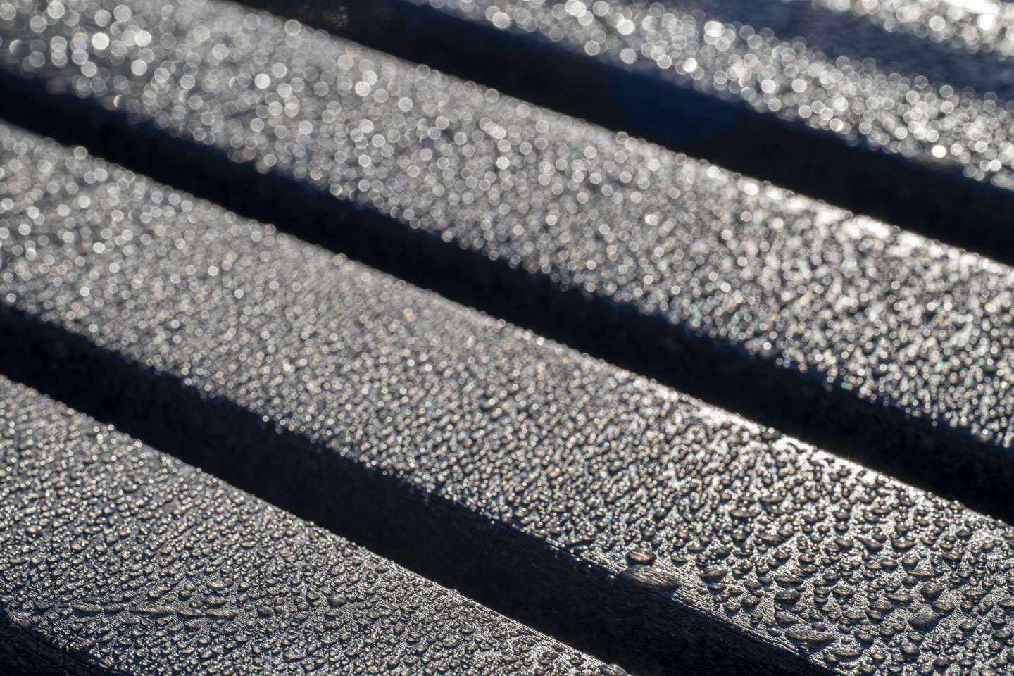Gray boards have many drops of rain or dew on them. 