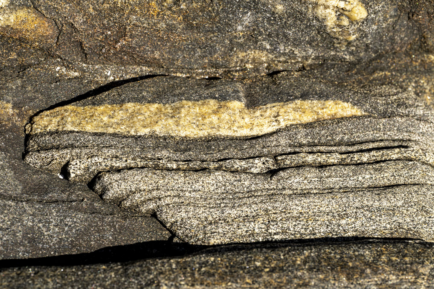This picture has a rock with one long stripe of yellow amidst stripes of varying gray colors.