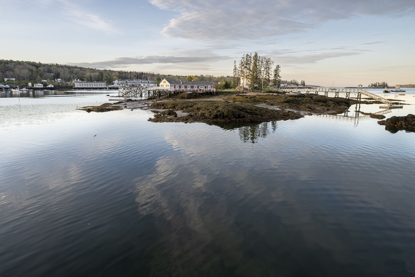 An island with seaweed covered rocks towards us with a couple of buildings, piers, and a grassy area further away.