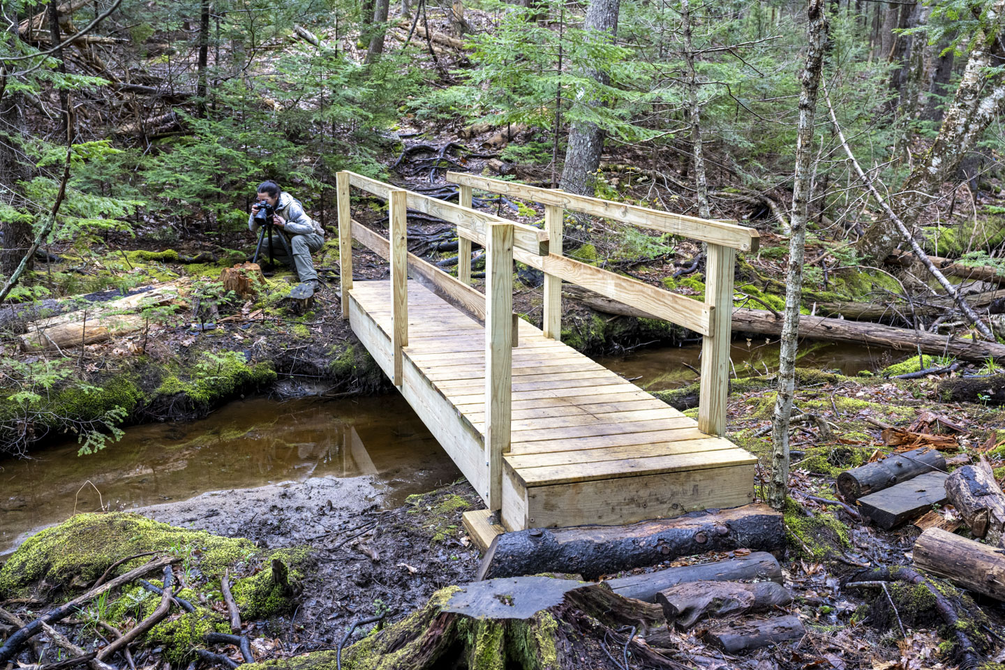 Anne kneels on the far side of a small wooden bridge in the woods.