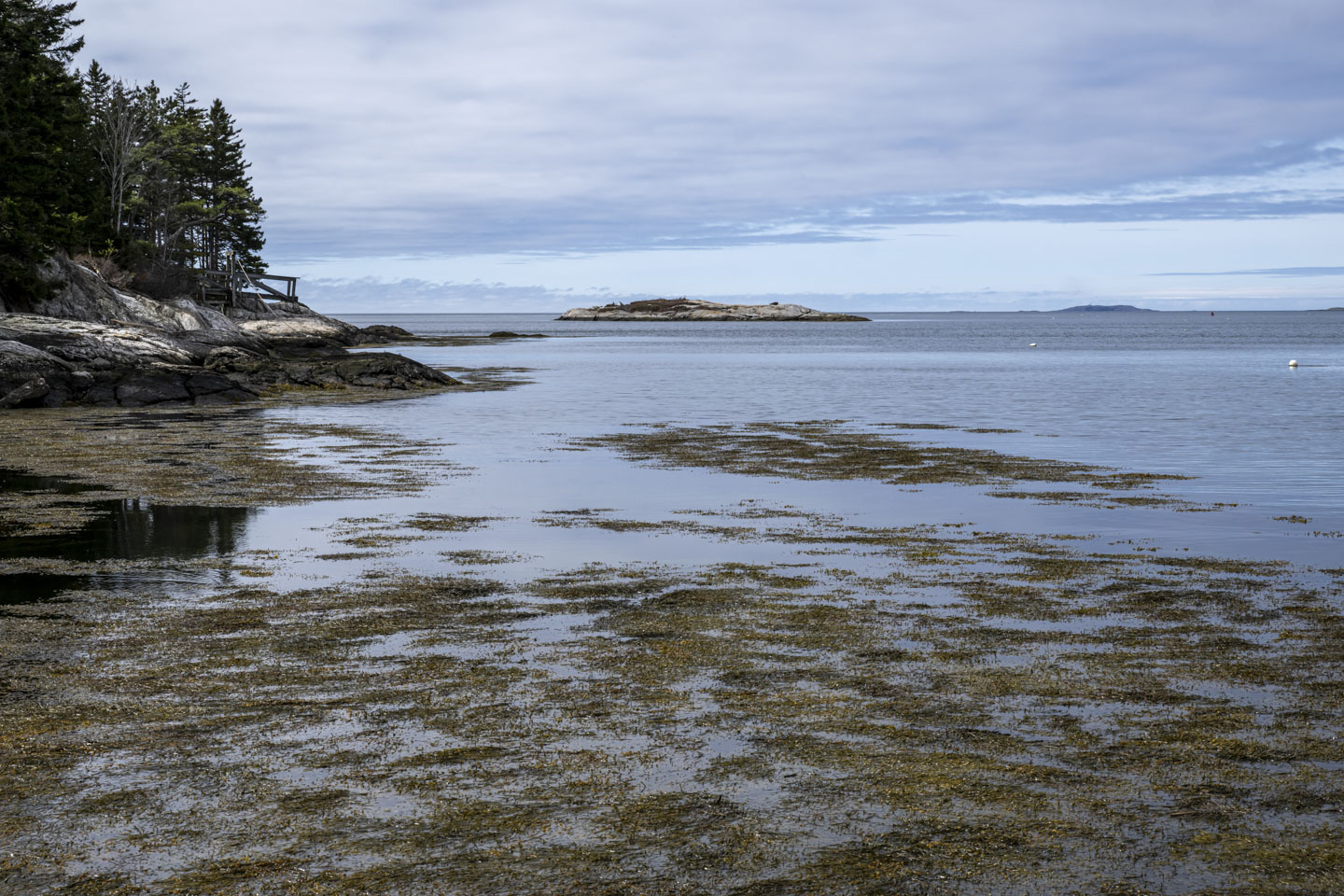 Shallow water with seaweed extends out to deeper water and some rocks.