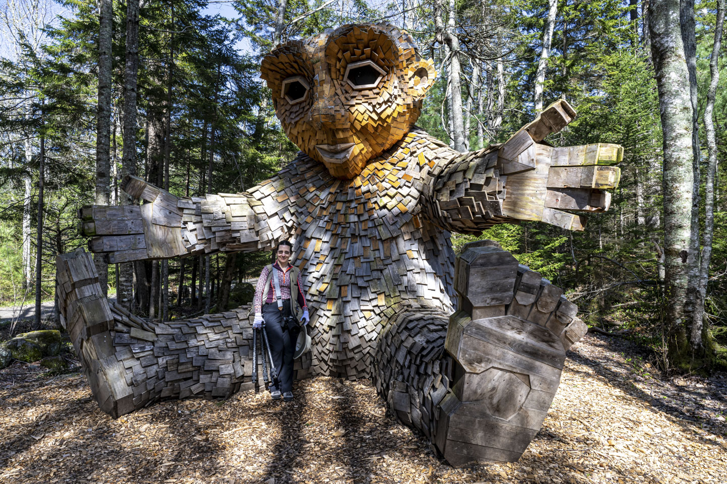 Anne is leaning against the leg of a friendly looking wooden troll that is reading out with a welcoming gesture.