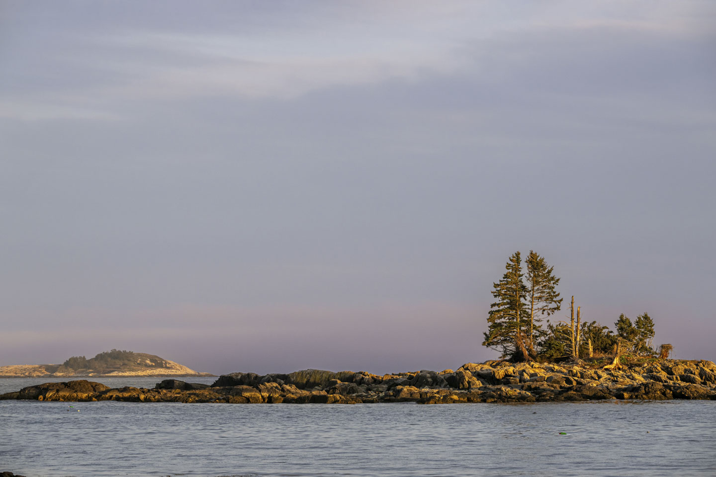 An island that is mostly rocks, but with a cluster of trees on the right.