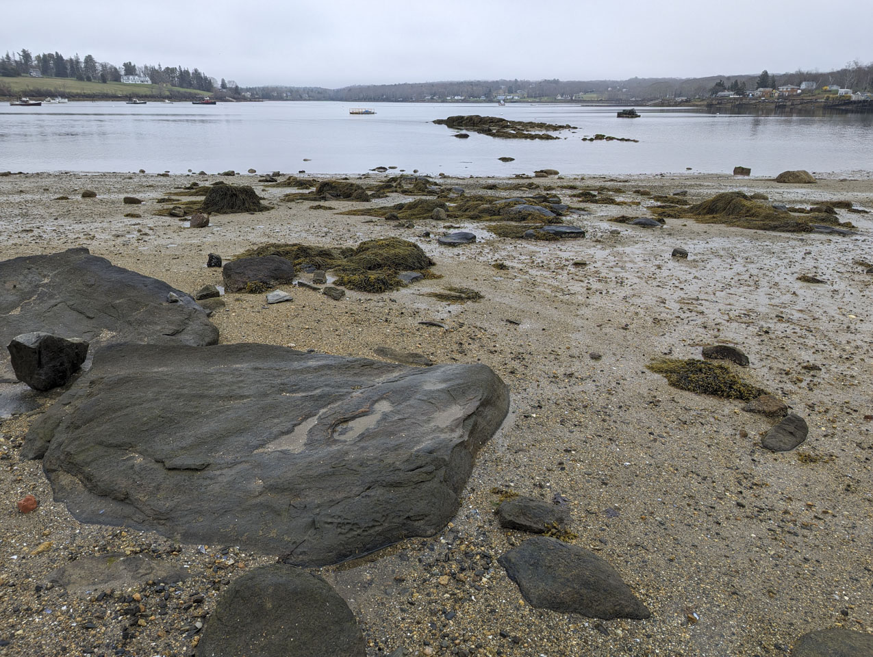 Low scattered rocks, some with seaweed on them, lead  out to some calm water.