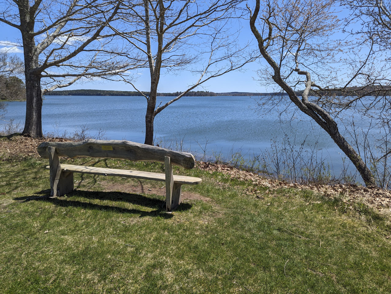 A rustic but nice wood bench offers seating to view water.