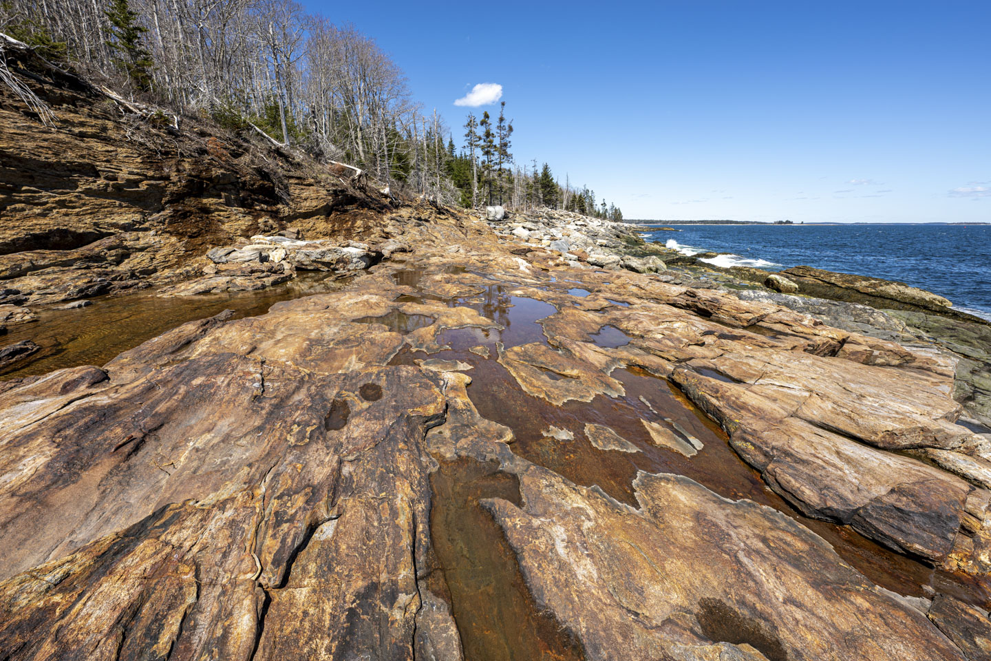 A rocky coast has many small tide pools.