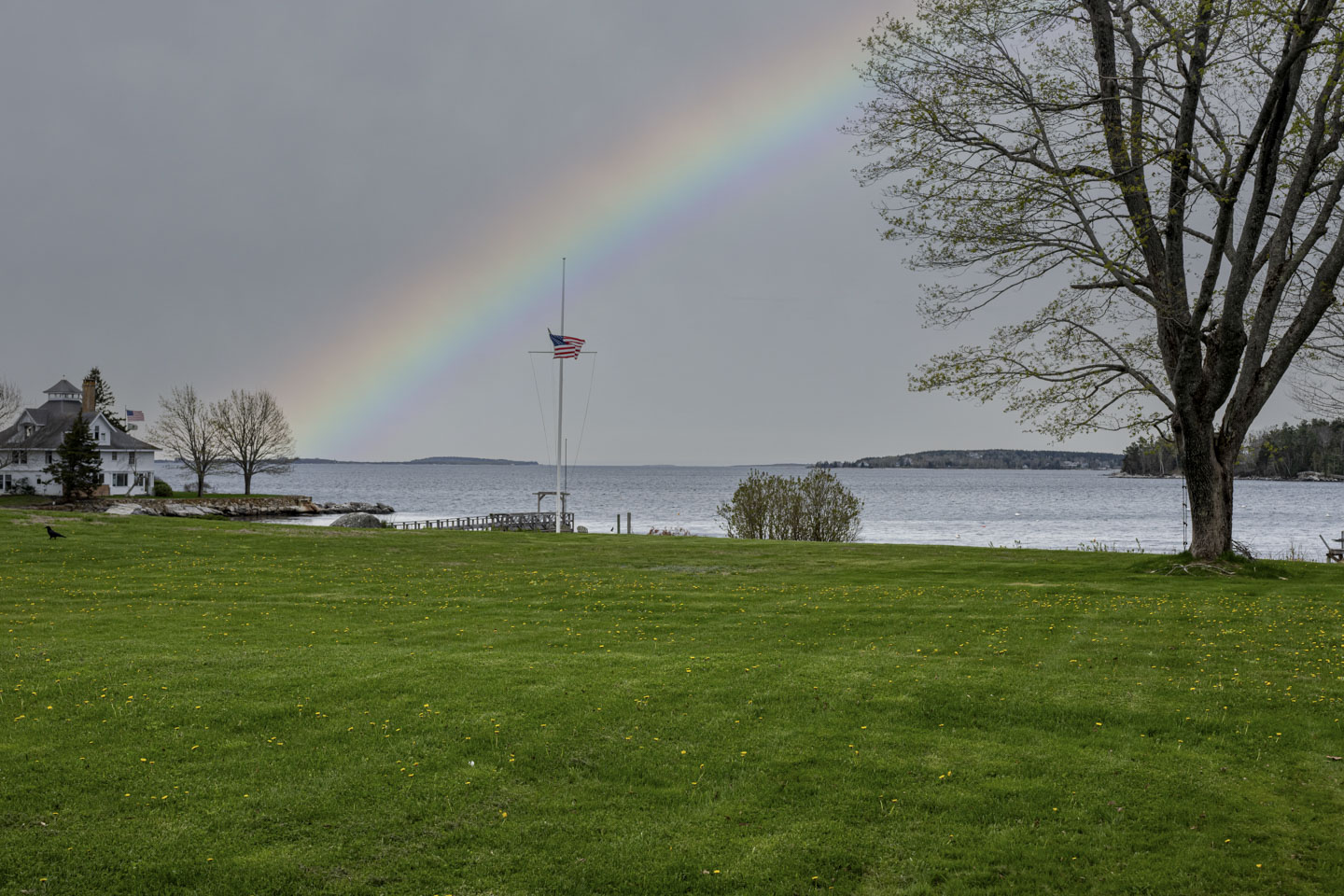 A large green lawn with water beyond it. There is a flagpole near the water, a large tree with new leaves, and a rainbow.