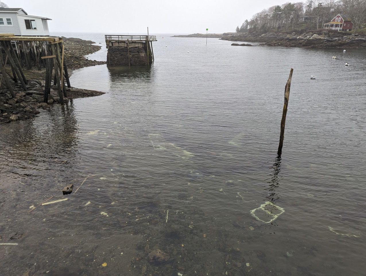 Looking into the harbor, debris can be seen.