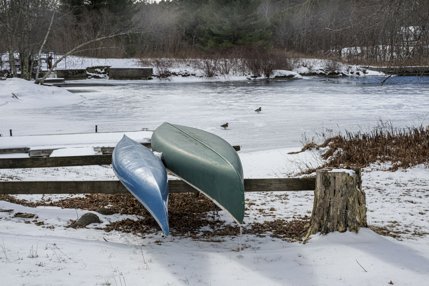 Two canoes are on a snow-covered yard next to an ice-covered stream. Some liquid water can be seen in the far right corner.