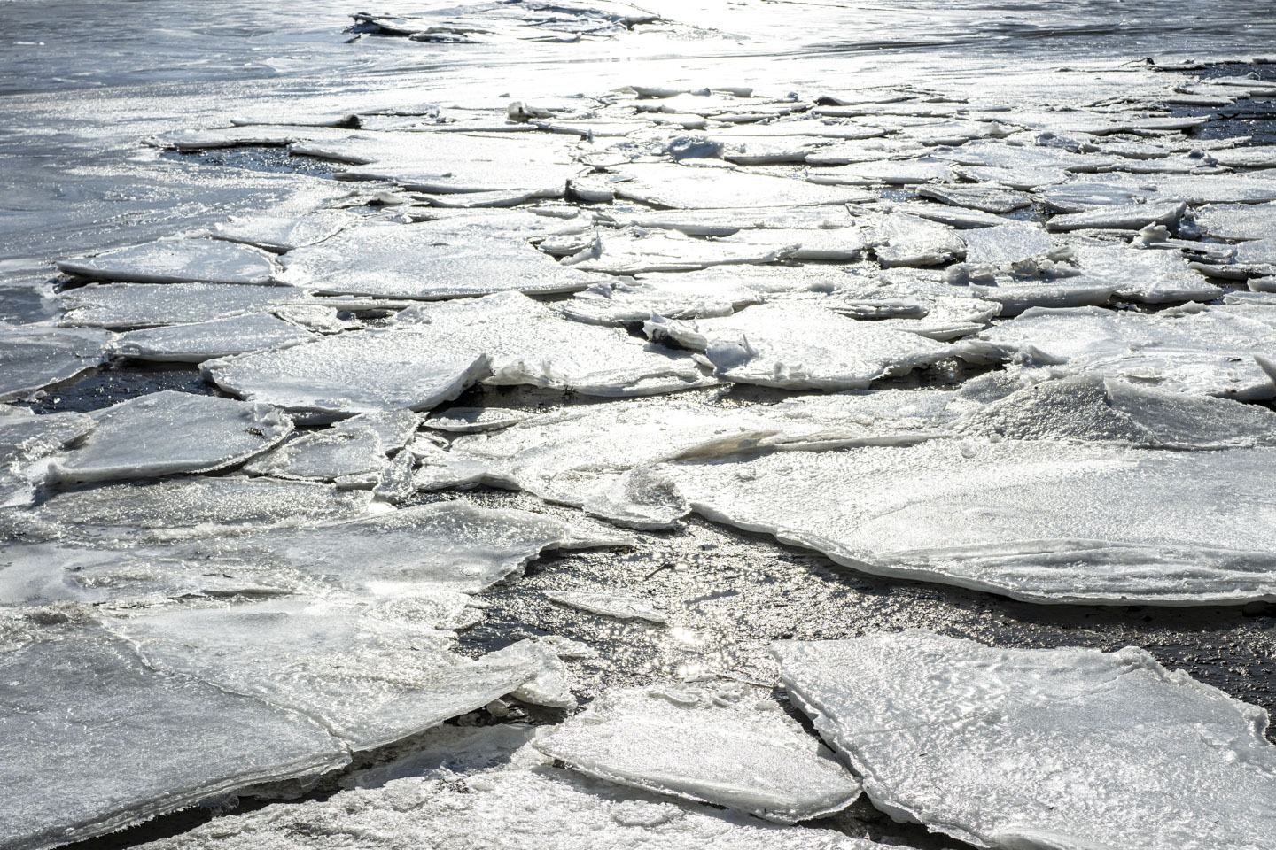 The sun is shining on plates of ice at low tide.