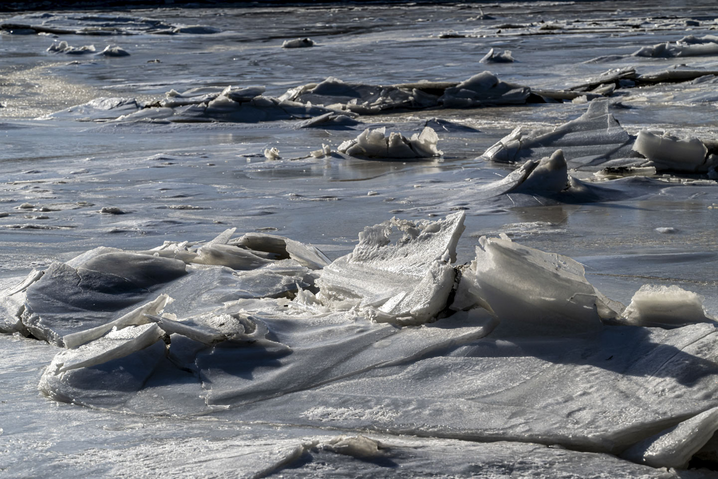 Plates of broken upturned ice dot the surface of a frozen stream.