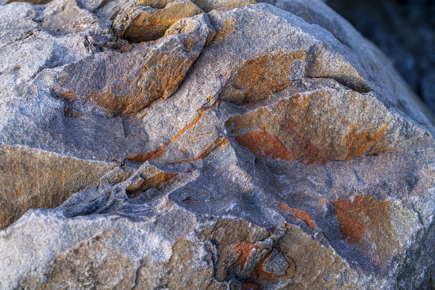 A rock with rust-red sections looks brighter in the late day sun.