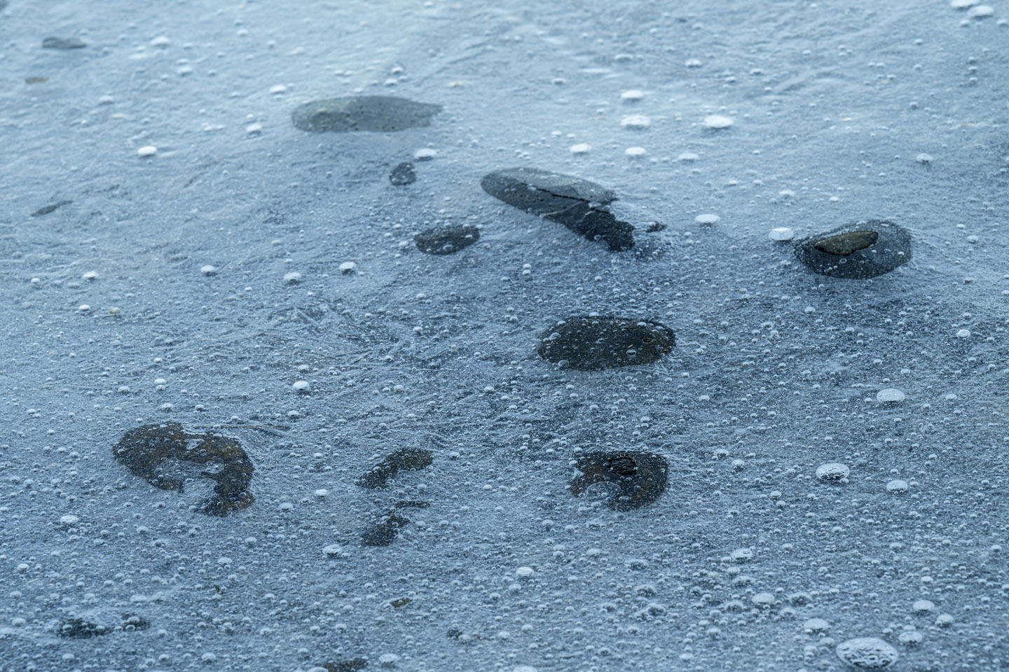 Little rocks can be seen through the ice.