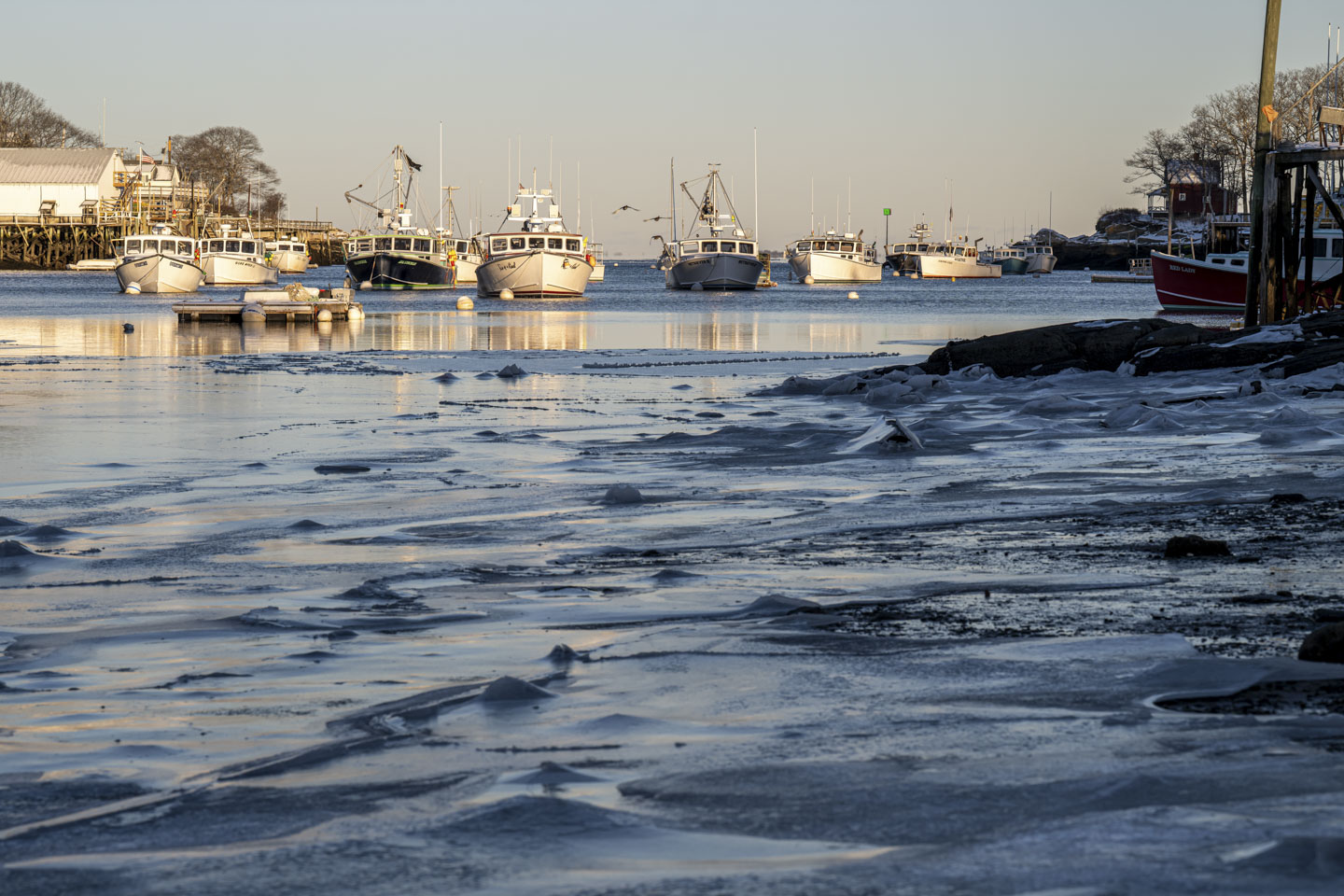 Looking across ice covered water, there are boats in a deeper unfrozen section.