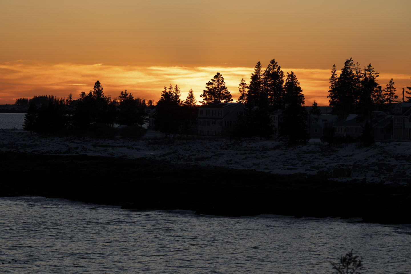 A yellow-orange sky at sunset is seen behind evergreen trees, and there is water in the foreground of the picture.