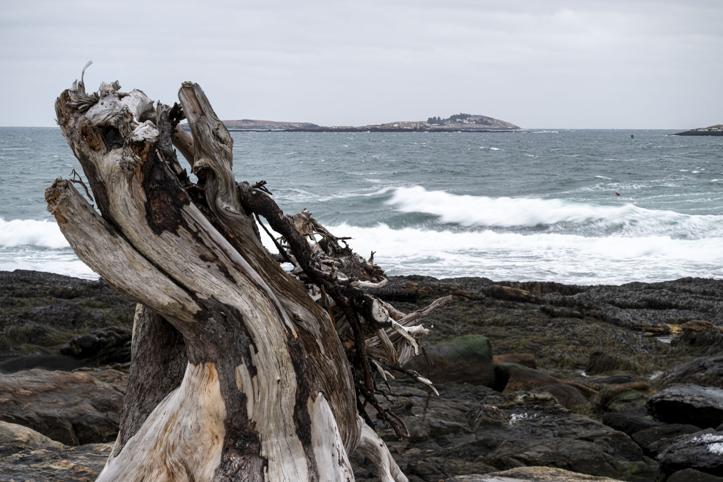A tree stump is in the foreground, with churning water and finally in the distance an island.