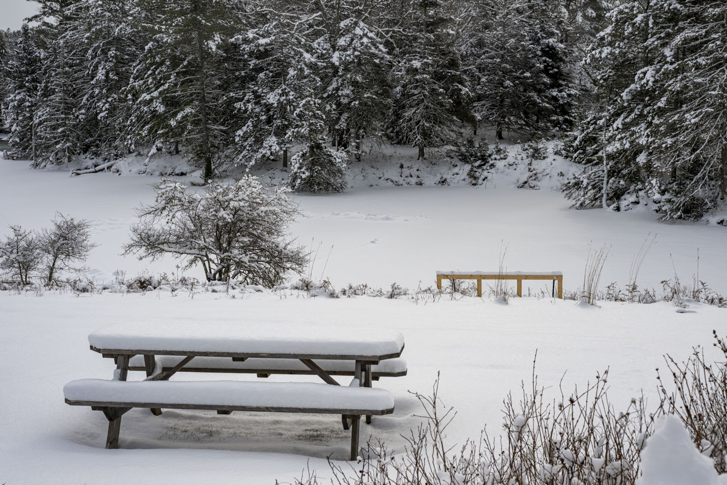 A picnic table with a lot of snow on it is near a snow-covered pond.