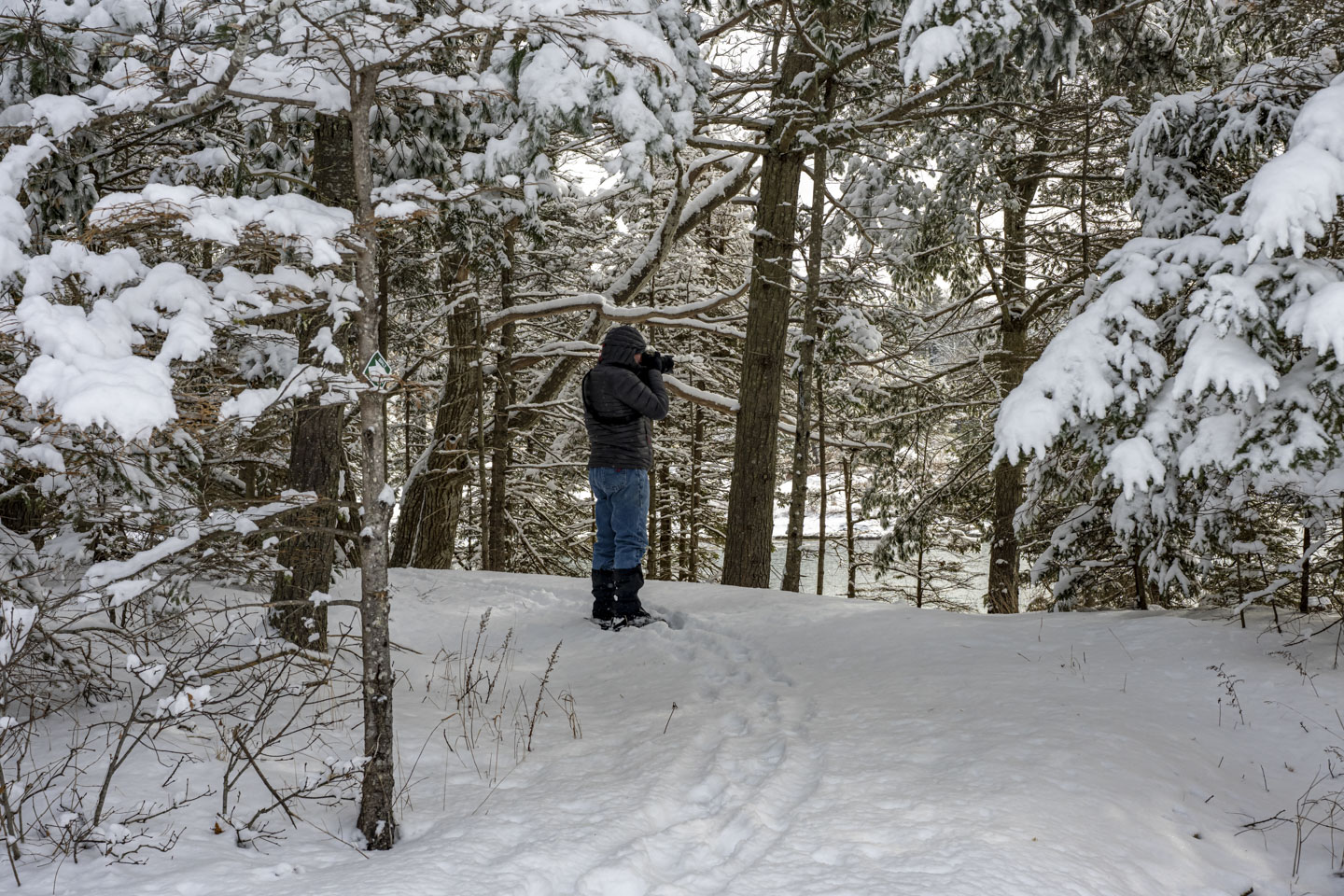 Paul is standing in a wooded area, holding his camera.
