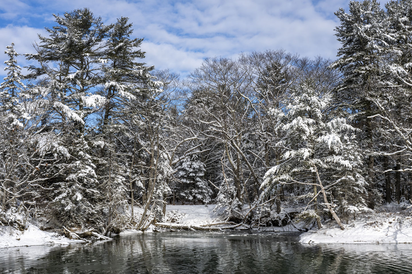 Looking across some water as snow-covered trees.
