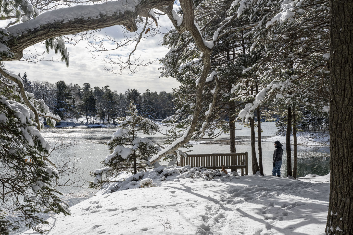 The sun is shining on water, snow-covered ground, a bench, and Paul.