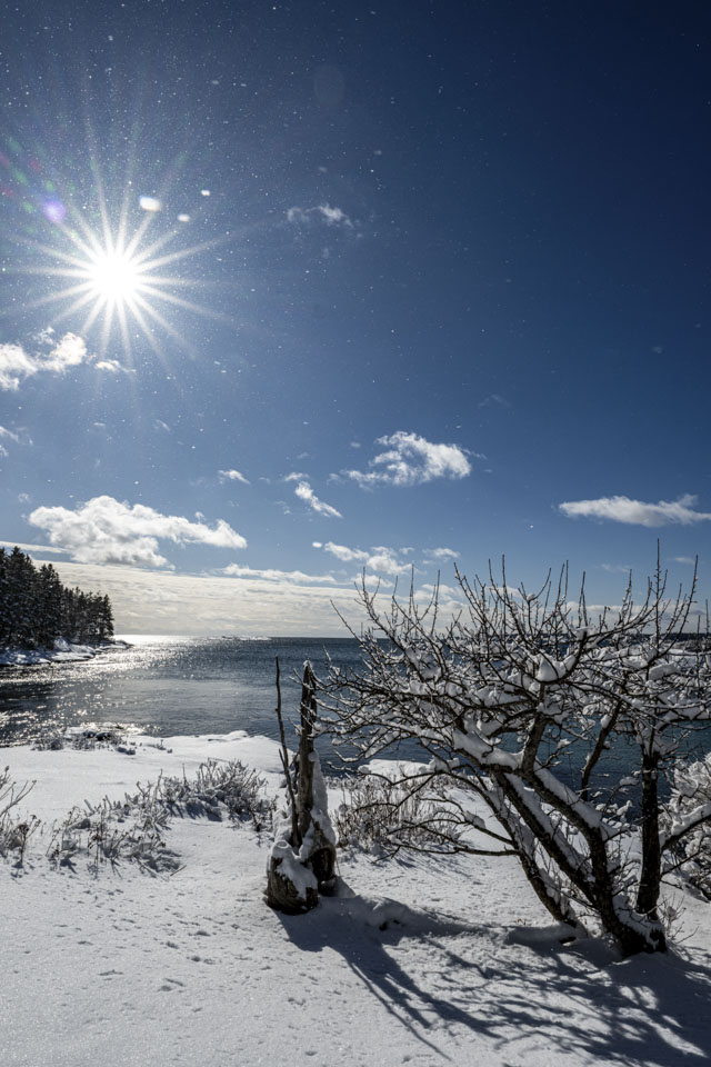 A starburst image of the sun is over snow covered land and sparkling water.