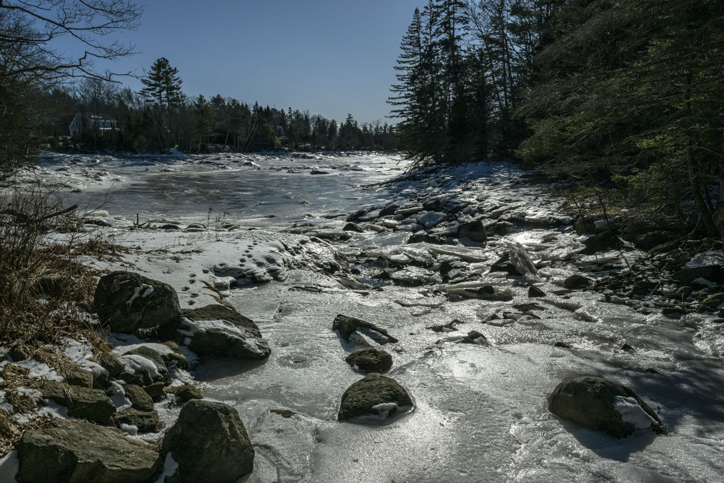 Looking down a frozen river, some prints are seen in the snow along the edge.