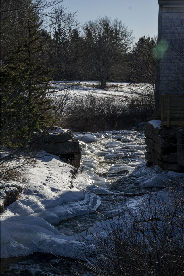 Looking down a small river covered with ice, there are some prints on the left and a tree in the distance.