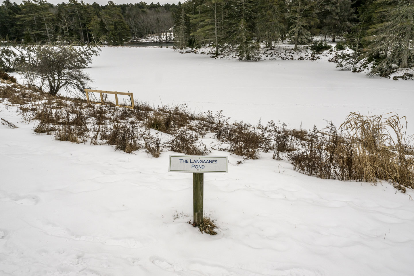 A sign that says The Langaanes Pond is sticking up from the snow in front of a snow-covered pond, with trees on the far side.