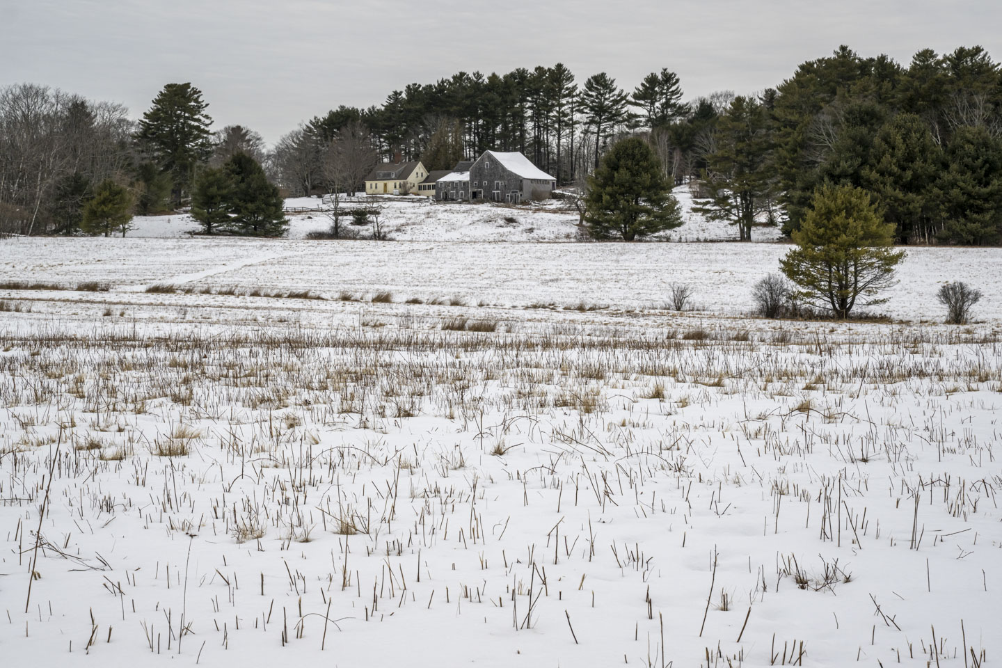 A farmhouse is in the distance, with a field in front. The field is covered with snow but there are pieces of tough grass sticking through it.