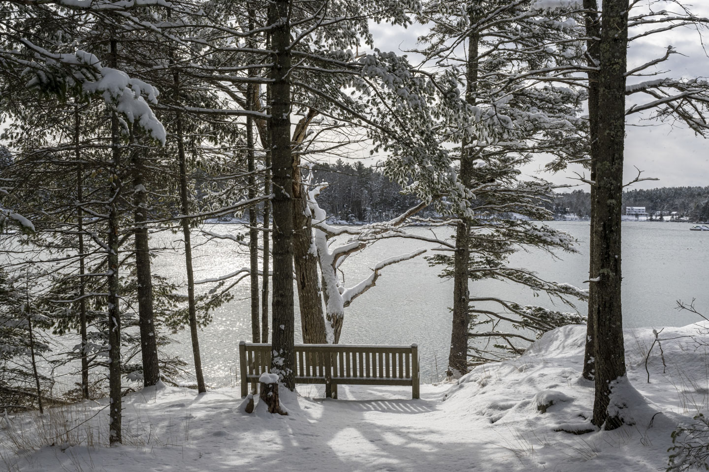 The sun shines through trees and on a bench that is facing water.