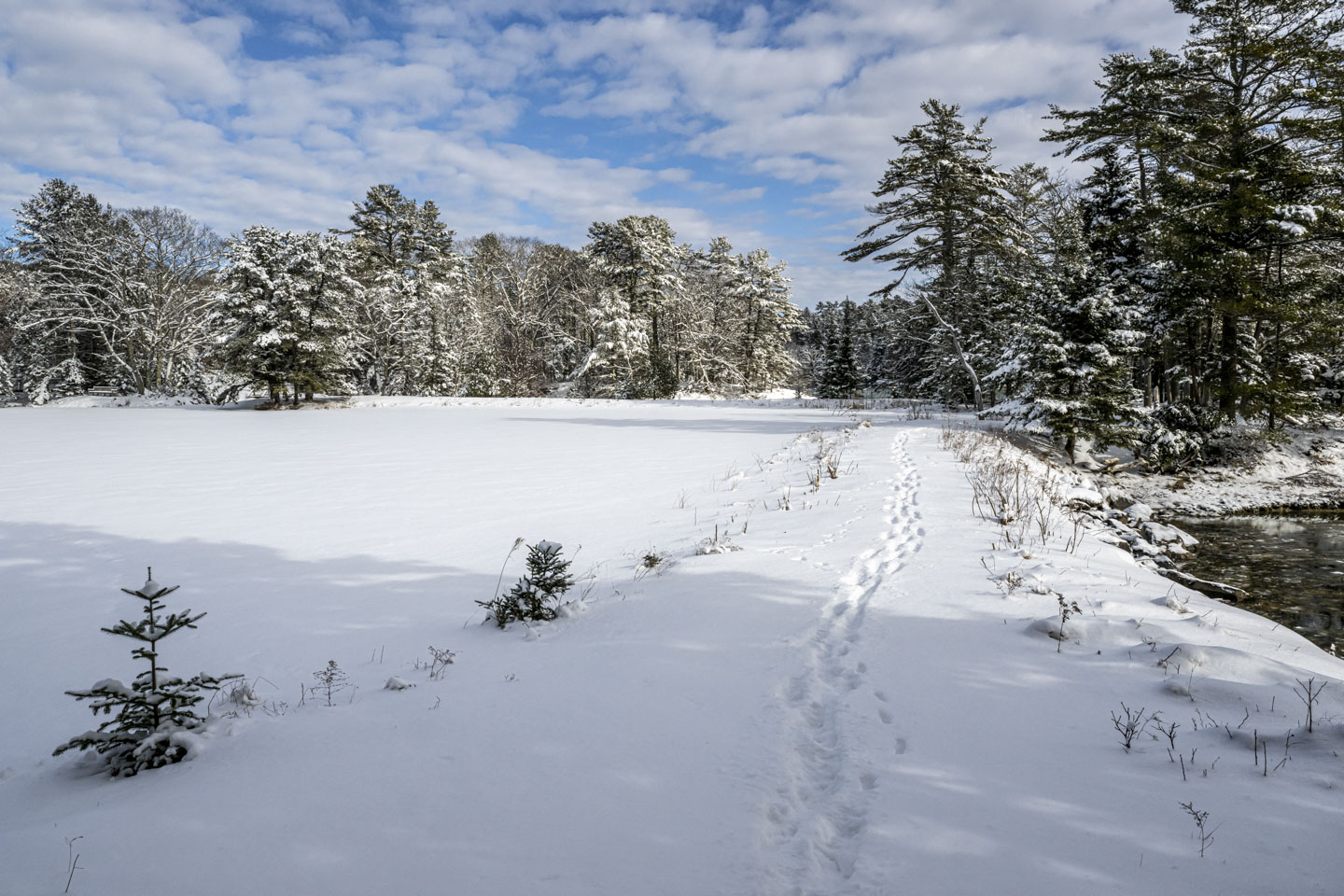 Footsteps in snow go down the center of some land that has water on the right and a flat area on the left that is snow over frozen water.