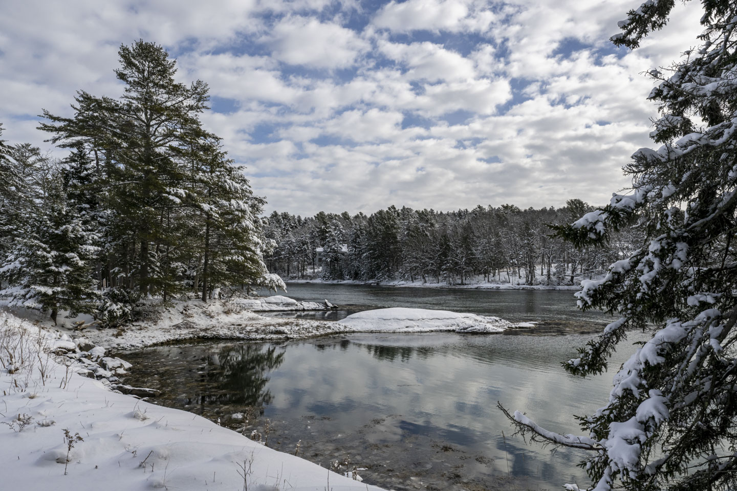 A view of snow-covered trees and water that reflects the clouds in the sky.