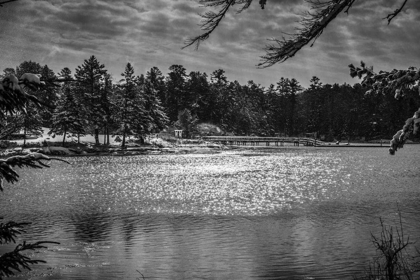 A black-and-white picture of snow-covered trees and sparkling water.