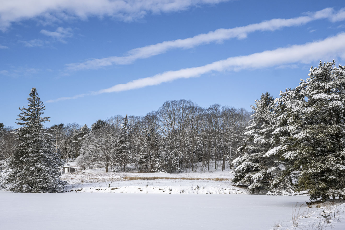 Some long clouds in the blue sky are above snow-covered trees, land, and a frozen pond.