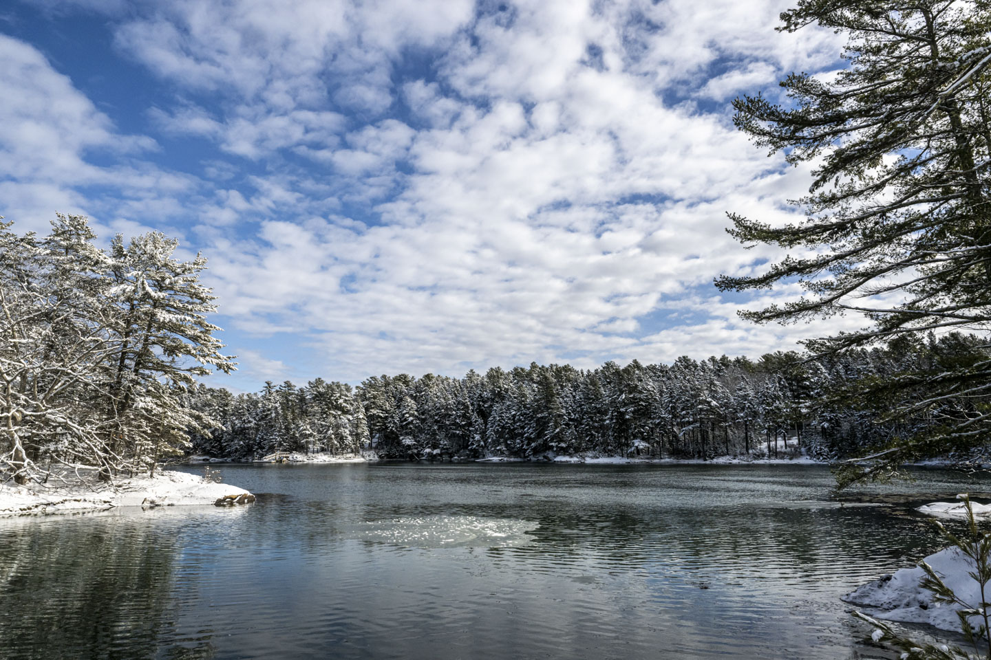 A partly cloudy sky is above snow-covered trees and water that has a patch of ice on it.