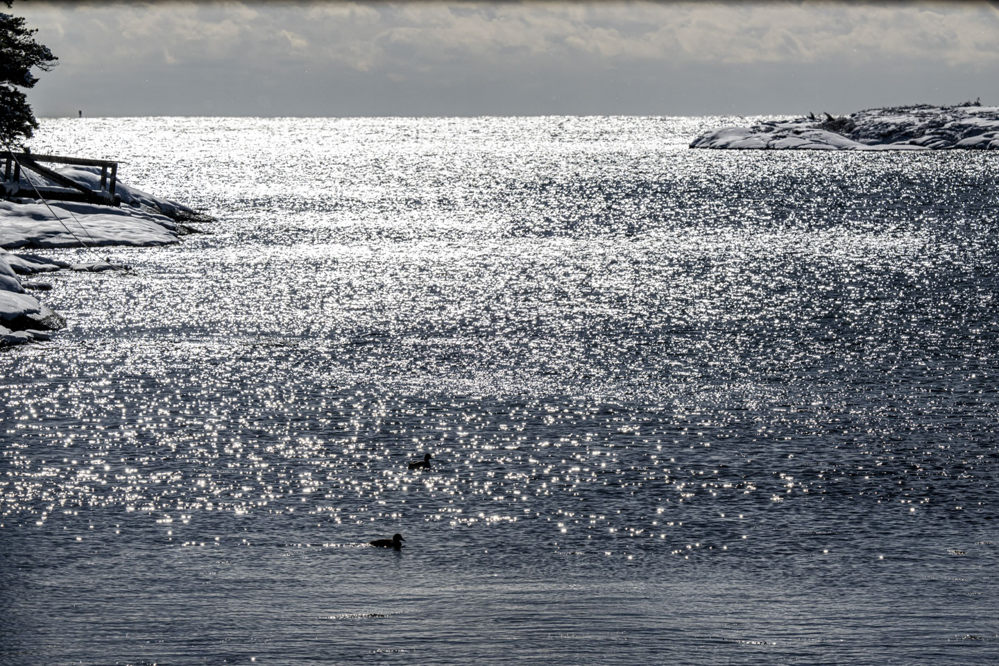 A couple of ducks are visible in the water.