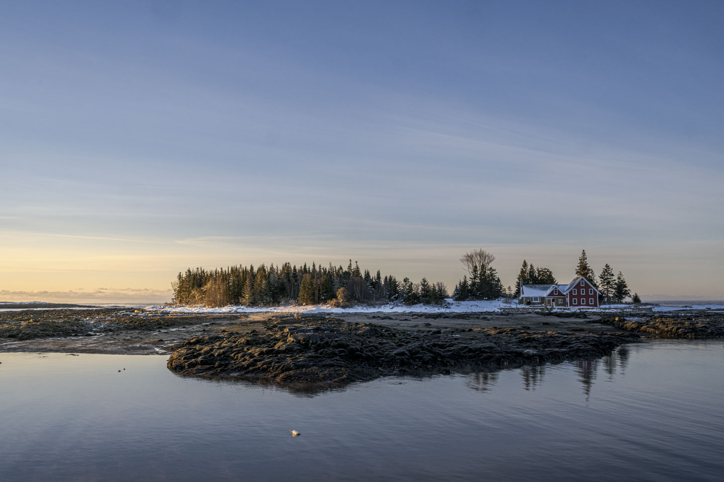 Early morning sun is shining on an island at low tide. On the right is a red house with white trim.