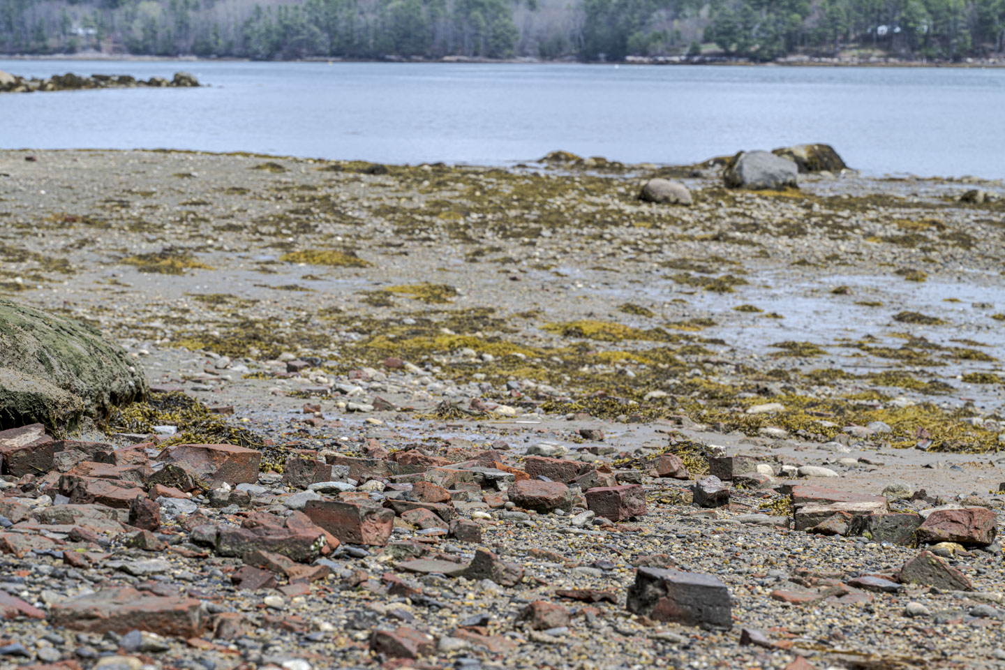 Bricks are strewn on a rough beach on the Damariscotta River.
