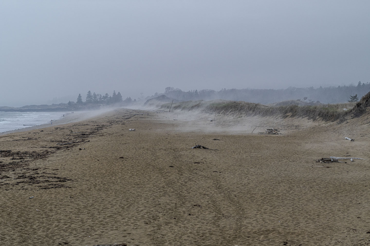 The sandy beach at the park has fog sliding over it and over a ridge of land on the right.