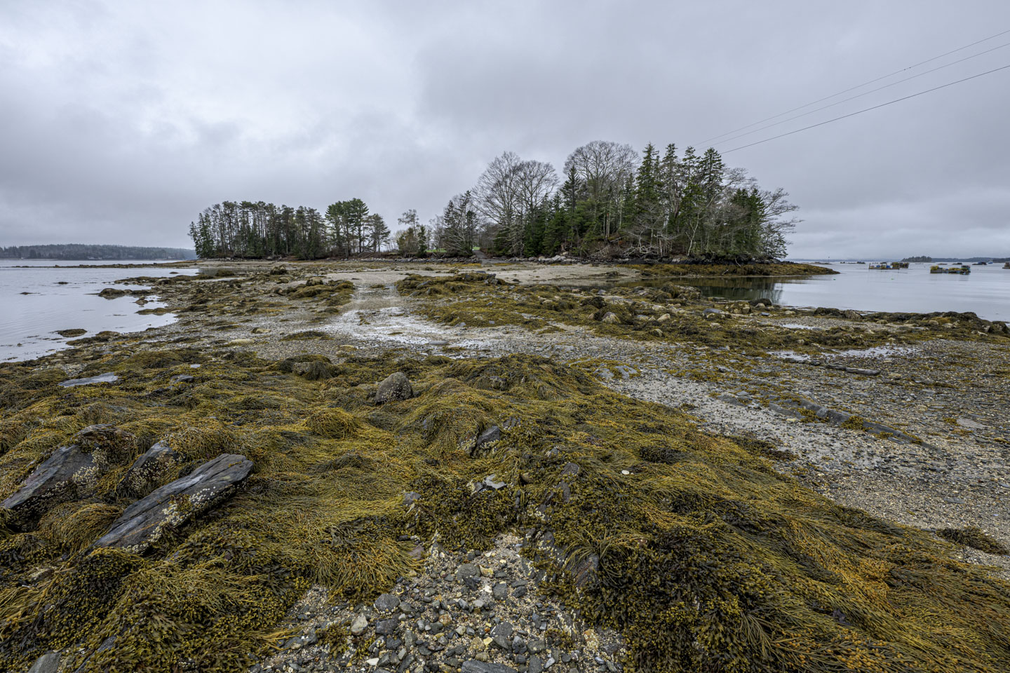 A dirt and rock roadway leads to an island.